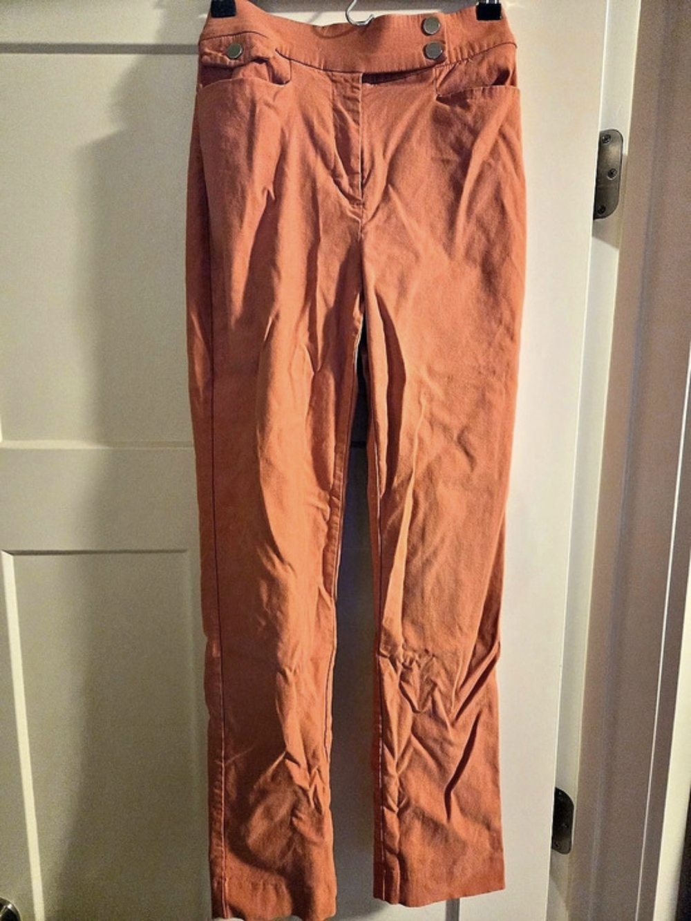 Straight Leg Pants in Coral Size Small Like New